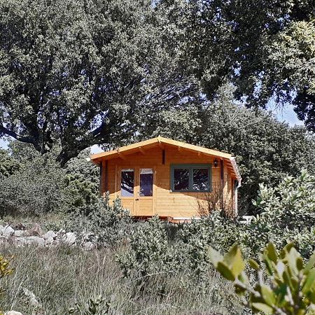 Le Chalet Saint-Jean-de-Minervois Dış mekan fotoğraf
