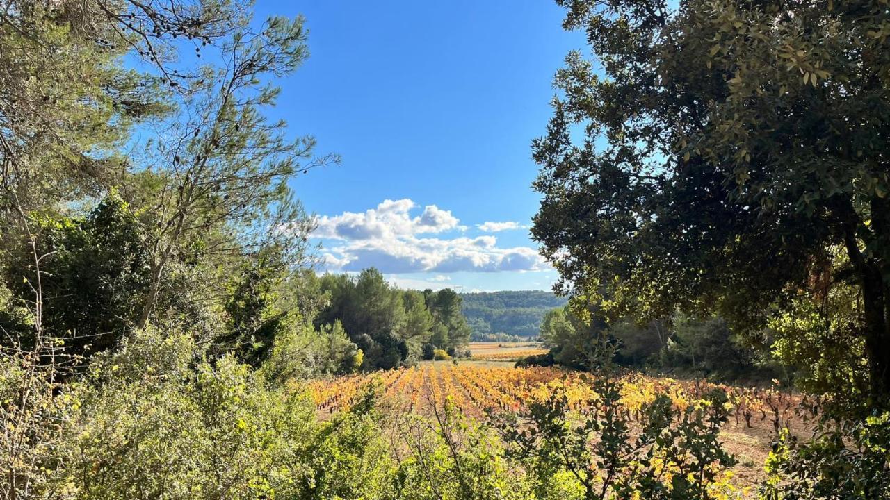 Le Chalet Saint-Jean-de-Minervois Dış mekan fotoğraf