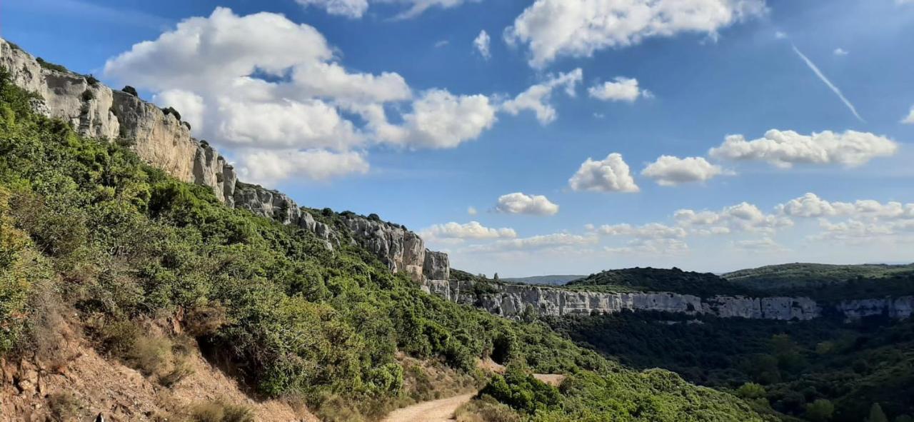 Le Chalet Saint-Jean-de-Minervois Dış mekan fotoğraf